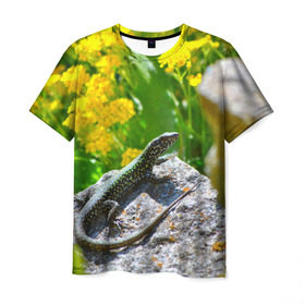 Мужская футболка 3D с принтом Ящерица , 100% полиэфир | прямой крой, круглый вырез горловины, длина до линии бедер | зеленая | поле | природа | ящерица