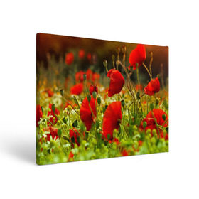 Холст прямоугольный с принтом Маки , 100% ПВХ |  | field | flowers | meadow | nature | poppies | poppy | red | summer | wild | красные | лето | луг | мак | маки | поле | полевые | природа | цветы