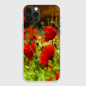 Чехол для iPhone 12 Pro Max с принтом Маки , Силикон |  | Тематика изображения на принте: field | flowers | meadow | nature | poppies | poppy | red | summer | wild | красные | лето | луг | мак | маки | поле | полевые | природа | цветы