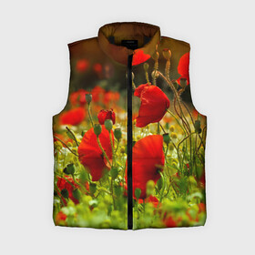 Женский жилет утепленный 3D с принтом Маки ,  |  | field | flowers | meadow | nature | poppies | poppy | red | summer | wild | красные | лето | луг | мак | маки | поле | полевые | природа | цветы