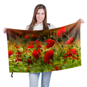 Флаг 3D с принтом Маки , 100% полиэстер | плотность ткани — 95 г/м2, размер — 67 х 109 см. Принт наносится с одной стороны | field | flowers | meadow | nature | poppies | poppy | red | summer | wild | красные | лето | луг | мак | маки | поле | полевые | природа | цветы
