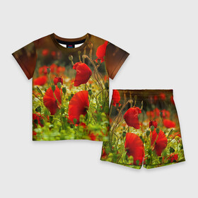 Детский костюм с шортами 3D с принтом Маки ,  |  | Тематика изображения на принте: field | flowers | meadow | nature | poppies | poppy | red | summer | wild | красные | лето | луг | мак | маки | поле | полевые | природа | цветы
