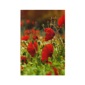 Обложка для паспорта матовая кожа с принтом Маки , натуральная матовая кожа | размер 19,3 х 13,7 см; прозрачные пластиковые крепления | field | flowers | meadow | nature | poppies | poppy | red | summer | wild | красные | лето | луг | мак | маки | поле | полевые | природа | цветы