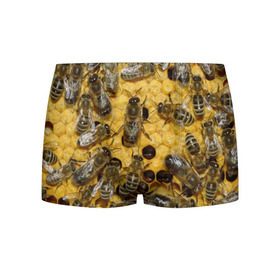 Мужские трусы 3D с принтом Пчела , 50% хлопок, 50% полиэстер | классическая посадка, на поясе мягкая тканевая резинка | Тематика изображения на принте: лето | мед | насекомые | оса | природа | пчелы | шмель