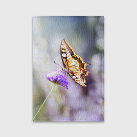 Обложка для паспорта матовая кожа с принтом Бабочка 1 , натуральная матовая кожа | размер 19,3 х 13,7 см; прозрачные пластиковые крепления | Тематика изображения на принте: бабочки | прикольные картинки | природа | цветы