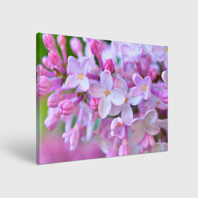 Холст прямоугольный с принтом Сирень , 100% ПВХ |  | Тематика изображения на принте: лепестки | прикольные картинки | цветочки | цветы
