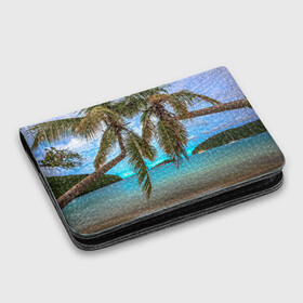 Картхолдер с принтом с принтом Пальма , натуральная матовая кожа | размер 7,3 х 10 см; кардхолдер имеет 4 кармана для карт; | море | отдых | отпуск | пальмы | пляж | солнце | туризм