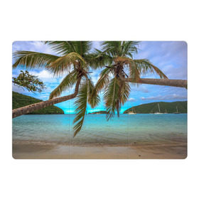 Магнитный плакат 3Х2 с принтом Пальма , Полимерный материал с магнитным слоем | 6 деталей размером 9*9 см | море | отдых | отпуск | пальмы | пляж | солнце | туризм