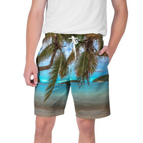 Мужские шорты 3D с принтом Пальма ,  полиэстер 100% | прямой крой, два кармана без застежек по бокам. Мягкая трикотажная резинка на поясе, внутри которой широкие завязки. Длина чуть выше колен | море | отдых | отпуск | пальмы | пляж | солнце | туризм