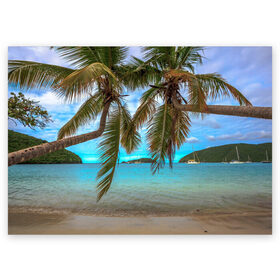 Поздравительная открытка с принтом Пальма , 100% бумага | плотность бумаги 280 г/м2, матовая, на обратной стороне линовка и место для марки
 | Тематика изображения на принте: море | отдых | отпуск | пальмы | пляж | солнце | туризм