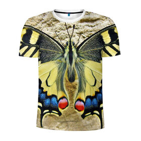Мужская футболка 3D спортивная с принтом бабочка , 100% полиэстер с улучшенными характеристиками | приталенный силуэт, круглая горловина, широкие плечи, сужается к линии бедра | бабочка | мотылек | насекомые