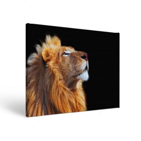 Холст прямоугольный с принтом Лев , 100% ПВХ |  | lion | лев | хищник