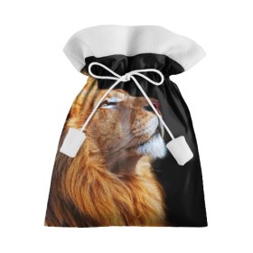 Подарочный 3D мешок с принтом Лев , 100% полиэстер | Размер: 29*39 см | lion | лев | хищник