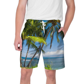 Мужские шорты 3D с принтом Пальмы ,  полиэстер 100% | прямой крой, два кармана без застежек по бокам. Мягкая трикотажная резинка на поясе, внутри которой широкие завязки. Длина чуть выше колен | море | отдых | отпуск | пальмы | пляж | солнце | туризм