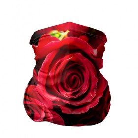 Бандана-труба 3D с принтом Розы , 100% полиэстер, ткань с особыми свойствами — Activecool | плотность 150‒180 г/м2; хорошо тянется, но сохраняет форму | красный | лепестки | прикольные картинки | розы | цветочки | цветы