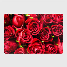 Магнитный плакат 3Х2 с принтом Розы , Полимерный материал с магнитным слоем | 6 деталей размером 9*9 см | красный | лепестки | прикольные картинки | розы | цветочки | цветы