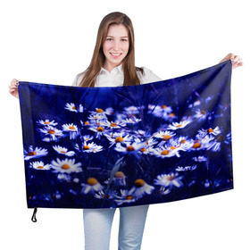 Флаг 3D с принтом Ромашки , 100% полиэстер | плотность ткани — 95 г/м2, размер — 67 х 109 см. Принт наносится с одной стороны | лепестки | прикольные картинки | ромашки | цветочки | цветы
