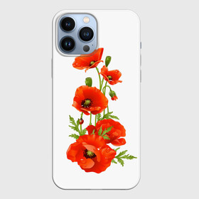 Чехол для iPhone 13 Pro Max с принтом Маки ,  |  | Тематика изображения на принте: field | flowers | poppies | poppy | red | wild | красные | мак | маки | поле | полевые | цветы