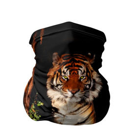 Бандана-труба 3D с принтом Тигр , 100% полиэстер, ткань с особыми свойствами — Activecool | плотность 150‒180 г/м2; хорошо тянется, но сохраняет форму | дикая кошка | лес | природа | тигр | хищник
