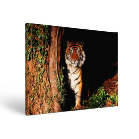 Холст прямоугольный с принтом Тигр , 100% ПВХ |  | Тематика изображения на принте: дикая кошка | лес | природа | тигр | хищник