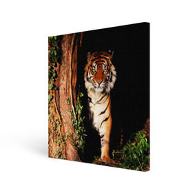 Холст квадратный с принтом Тигр , 100% ПВХ |  | Тематика изображения на принте: дикая кошка | лес | природа | тигр | хищник