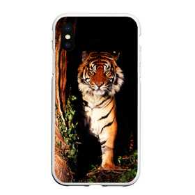 Чехол для iPhone XS Max матовый с принтом Тигр , Силикон | Область печати: задняя сторона чехла, без боковых панелей | дикая кошка | лес | природа | тигр | хищник