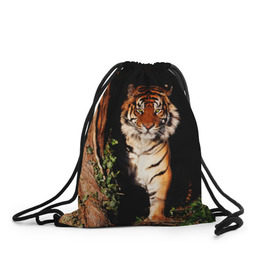 Рюкзак-мешок 3D с принтом Тигр , 100% полиэстер | плотность ткани — 200 г/м2, размер — 35 х 45 см; лямки — толстые шнурки, застежка на шнуровке, без карманов и подкладки | Тематика изображения на принте: дикая кошка | лес | природа | тигр | хищник