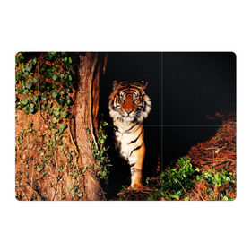 Магнитный плакат 3Х2 с принтом Тигр , Полимерный материал с магнитным слоем | 6 деталей размером 9*9 см | Тематика изображения на принте: дикая кошка | лес | природа | тигр | хищник