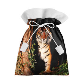 Подарочный 3D мешок с принтом Тигр , 100% полиэстер | Размер: 29*39 см | дикая кошка | лес | природа | тигр | хищник