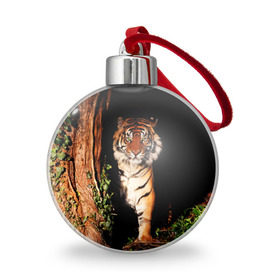 Ёлочный шар с принтом Тигр , Пластик | Диаметр: 77 мм | дикая кошка | лес | природа | тигр | хищник