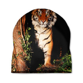 Шапка 3D с принтом Тигр , 100% полиэстер | универсальный размер, печать по всей поверхности изделия | дикая кошка | лес | природа | тигр | хищник