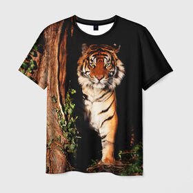 Мужская футболка 3D с принтом Тигр , 100% полиэфир | прямой крой, круглый вырез горловины, длина до линии бедер | дикая кошка | лес | природа | тигр | хищник
