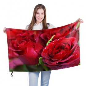 Флаг 3D с принтом Цветы , 100% полиэстер | плотность ткани — 95 г/м2, размер — 67 х 109 см. Принт наносится с одной стороны | бабочки | весна | краски | лето | осень | розы | цветок | цветы
