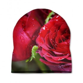 Шапка 3D с принтом Цветы , 100% полиэстер | универсальный размер, печать по всей поверхности изделия | бабочки | весна | краски | лето | осень | розы | цветок | цветы