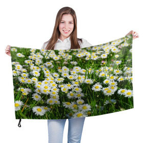 Флаг 3D с принтом Ромашки 2 , 100% полиэстер | плотность ткани — 95 г/м2, размер — 67 х 109 см. Принт наносится с одной стороны | лепестки | прикольные картинки | ромашки | цветочки | цветы