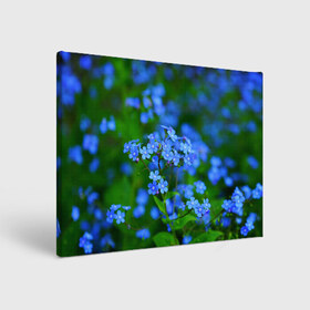 Холст прямоугольный с принтом Синие цветы , 100% ПВХ |  | Тематика изображения на принте: лепестки | прикольные картинки | цветочки | цветы