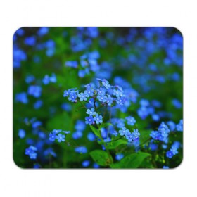 Коврик прямоугольный с принтом Синие цветы , натуральный каучук | размер 230 х 185 мм; запечатка лицевой стороны | лепестки | прикольные картинки | цветочки | цветы