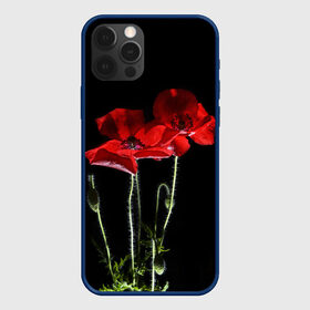 Чехол для iPhone 12 Pro с принтом Маки , силикон | область печати: задняя сторона чехла, без боковых панелей | background | black | flowers | poppies | poppy | red | wild | красные | мак | маки | полевые | фон | цветы | черный