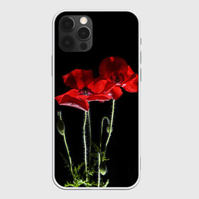 Чехол для iPhone 12 Pro Max с принтом Маки , Силикон |  | background | black | flowers | poppies | poppy | red | wild | красные | мак | маки | полевые | фон | цветы | черный