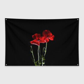 Флаг-баннер с принтом Маки , 100% полиэстер | размер 67 х 109 см, плотность ткани — 95 г/м2; по краям флага есть четыре люверса для крепления | background | black | flowers | poppies | poppy | red | wild | красные | мак | маки | полевые | фон | цветы | черный