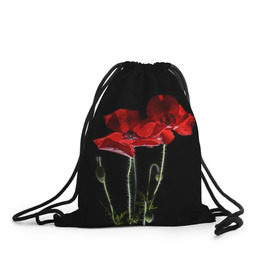 Рюкзак-мешок 3D с принтом Маки , 100% полиэстер | плотность ткани — 200 г/м2, размер — 35 х 45 см; лямки — толстые шнурки, застежка на шнуровке, без карманов и подкладки | background | black | flowers | poppies | poppy | red | wild | красные | мак | маки | полевые | фон | цветы | черный