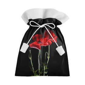 Подарочный 3D мешок с принтом Маки , 100% полиэстер | Размер: 29*39 см | background | black | flowers | poppies | poppy | red | wild | красные | мак | маки | полевые | фон | цветы | черный