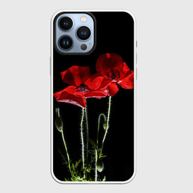 Чехол для iPhone 13 Pro Max с принтом Маки ,  |  | Тематика изображения на принте: background | black | flowers | poppies | poppy | red | wild | красные | мак | маки | полевые | фон | цветы | черный