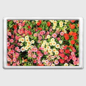 Магнит 45*70 с принтом Весеннее настроение , Пластик | Размер: 78*52 мм; Размер печати: 70*45 | Тематика изображения на принте: аромат | букет | вазон | великолепие | краски | красота | куст | луг | полевые цветы | полянка | природа | растения | розы | ромашки | тюльпаны | украшение | фауна | цветник | цветок | цветочек | цветы