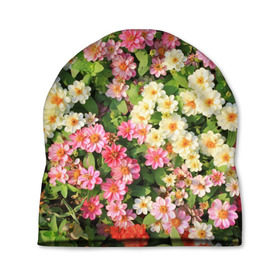 Шапка 3D с принтом Весеннее настроение , 100% полиэстер | универсальный размер, печать по всей поверхности изделия | аромат | букет | вазон | великолепие | краски | красота | куст | луг | полевые цветы | полянка | природа | растения | розы | ромашки | тюльпаны | украшение | фауна | цветник | цветок | цветочек | цветы