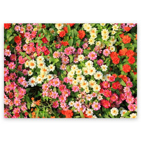 Поздравительная открытка с принтом Весеннее настроение , 100% бумага | плотность бумаги 280 г/м2, матовая, на обратной стороне линовка и место для марки
 | аромат | букет | вазон | великолепие | краски | красота | куст | луг | полевые цветы | полянка | природа | растения | розы | ромашки | тюльпаны | украшение | фауна | цветник | цветок | цветочек | цветы