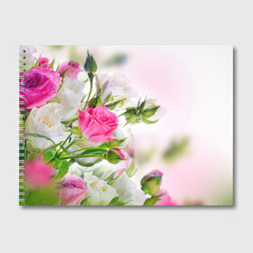 Альбом для рисования с принтом Алые розы , 100% бумага
 | матовая бумага, плотность 200 мг. | Тематика изображения на принте: аромат | букет | вазон | великолепие | краски | красота | куст | нежность | природа | растения | розы | украшение | фауна | цветник | цветы