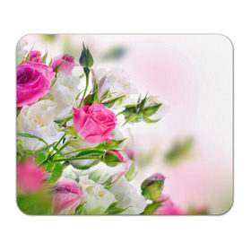 Коврик прямоугольный с принтом Алые розы , натуральный каучук | размер 230 х 185 мм; запечатка лицевой стороны | аромат | букет | вазон | великолепие | краски | красота | куст | нежность | природа | растения | розы | украшение | фауна | цветник | цветы