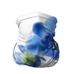 Бандана-труба 3D с принтом Веточка орхидеи , 100% полиэстер, ткань с особыми свойствами — Activecool | плотность 150‒180 г/м2; хорошо тянется, но сохраняет форму | ветка | красота | нежность | орхидея | природа | растение | фауна | цветок | цветы