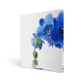 Холст квадратный с принтом Веточка орхидеи , 100% ПВХ |  | ветка | красота | нежность | орхидея | природа | растение | фауна | цветок | цветы